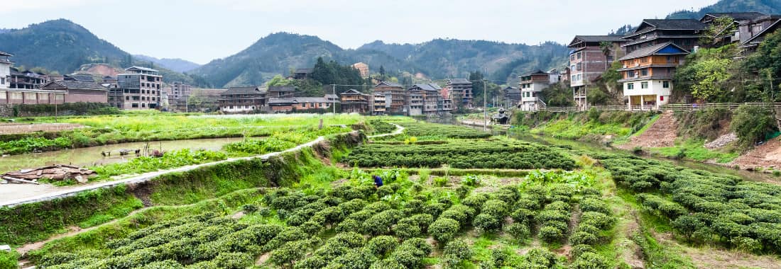 109年農田水利會招考「錄取率」出爐！近五千人報名考試、錄取率5.38%