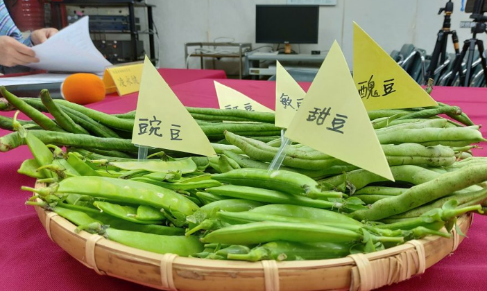 豆菜類抽驗逾5成農藥殘留超標 Tako